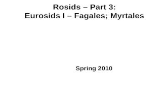 Rosids – Part 3: Eurosids I – Fagales; Myrtales Spring 2010.