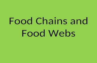 Food Chains and Food Webs. Why do scientists study food chains? Scientists study food chains to see how energy flows through organisms Where do we get.