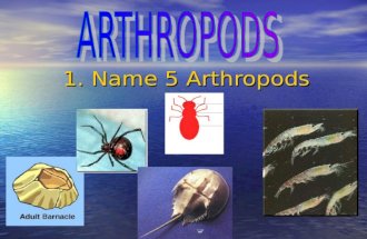 1. Name 5 Arthropods. Arthropods and Echinoderms 2. Without opening your book: Name two ways they are alike. Name two ways they are alike. Name three.