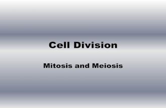 Cell Division Mitosis and Meiosis. Chromatin—long, tangled strands of DNA and proteins in the nucleus Chromosomes: –Carriers of genetic material –Condensed.