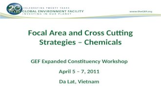 Focal Area and Cross Cutting Strategies – Chemicals GEF Expanded Constituency Workshop April 5 – 7, 2011 Da Lat, Vietnam.