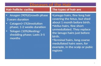 Diseases of the Hair Hair Follicle: cycling Anagen (90%)Growth phase 3 years duration Catagen(