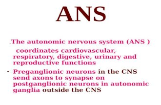 ANS .The autonomic nervous system (ANS )