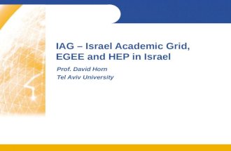 IAG  Israel Academic Grid, EGEE and HEP in Israel Prof. David Horn Tel Aviv University.