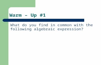 Warm  Up #1 What do you find in common with the following algebraic expression? 2