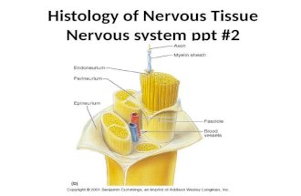 Histology of Nervous Tissue Nervous system ppt #2 Ppt #2.