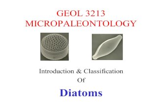 GEOL 3213 MICROPALEONTOLOGY