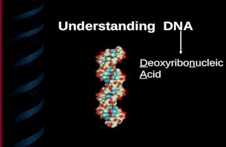 Understanding DNA Deoxyribonucleic Acid. What did Rosalind Franklin do? _________________ _______________ _______________ _______________ _______________.