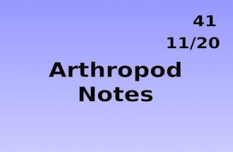 Arthropod Notes 41 11/20. Common Characteristics Invertebrate External Skeleton Segmented Body Jointed Appendages.