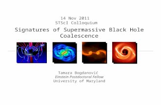 Signatures of Supermassive Black Hole Coalescence Tamara Bogdanović Einstein Postdoctoral Fellow University of Maryland 14 Nov 2011 STScI Colloquium.