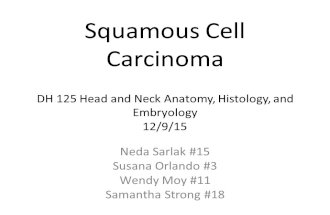 Squamous Cell Carcinoma DH 125 Head and Neck Anatomy, Histology, and Embryology 12/9/15 Neda Sarlak #15 Susana Orlando #3 Wendy Moy #11 Samantha Strong.
