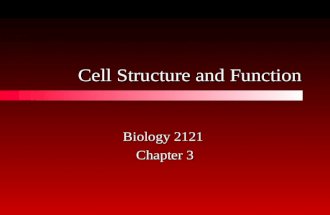 Cell Structure and Function Biology 2121 Chapter 3.