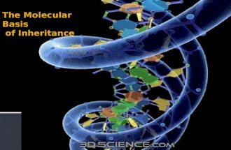 DNA is the genetic material  Many proteins work together in DNA replication & repair  Chromosomes…