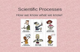 Scientific Processes How we know what we know!. Observations Use senses and tools to study life Descriptions:…
