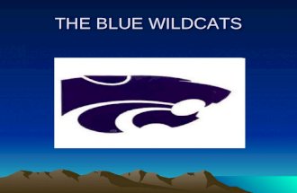 THE BLUE WILDCATS. Cesar My birthday is July 24, 1999. I like to do things with my family.
