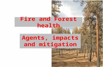 Fire and Forest health Agents, impacts and mitigation.