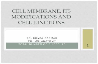 Cell Menbrane