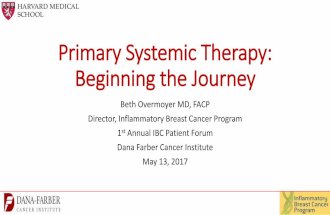 Primary Systemic Therapy for Inflammatory Breast Cancer
