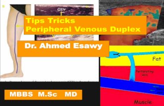 4 peripheral venous duplex pt 4 varices dr ahmed esawy