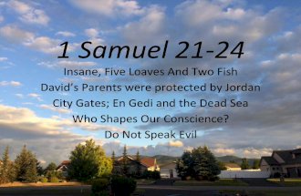 1 Samuel 21-24, Insane, Five Loaves; David’s Parents protected by Jordan; City Gates; En Gedi, Dead Sea; Who Shapes Our Conscience?; Do Not Speak Evil