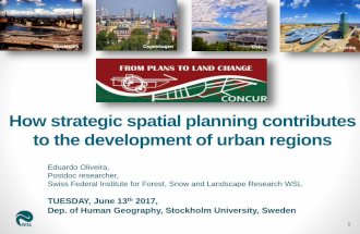 Oliveira, E (2017) How strategic spatial planning contributes to the development of urban regions