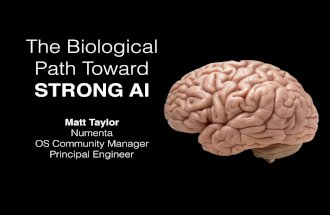 Biological path toward strong AI