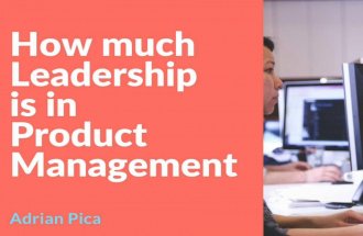 Leadership in Product Management - SummIT Iasi 2017