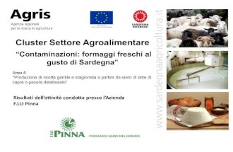Contaminazioni: formaggi freschi al gusto di Sardegna (Linea 4)