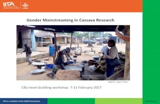 Gender Mainstreaming in Cassava research