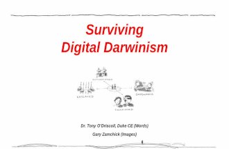 Surviving Digital Darwinism