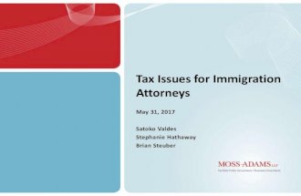 Tax issues for immigration lawyers