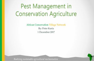 Pest management in Conservation Agriculture