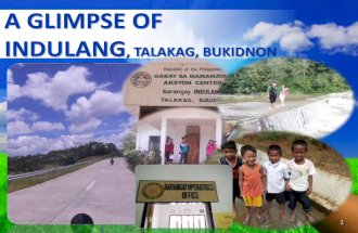 A Glimpse of Indulang, Talakag, Bukidnon