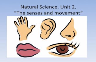 Unit 2 "The Senses and movement"