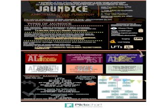 Jaundice and abnormal LFTs – Interpretation