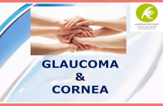 glaucoma n cornea