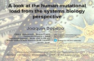 A look at the human mutational load from the systems biology perspective