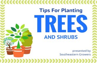 Tips For Planting Trees and Shrubs