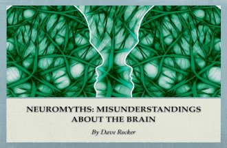 Dave Rocker: Neuromyths: Misunderstandings About The Brain