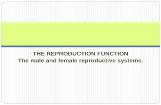 3ESO. Reproductive system.