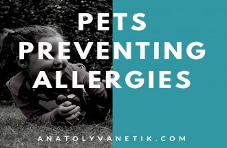 Pets Preventing Childhood Allergies