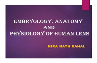 Embryology and anatomy of human lens