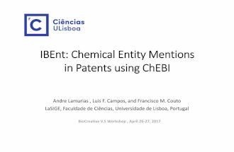 IBEnt: Chemical Entity Mentions in Patents using ChEBI