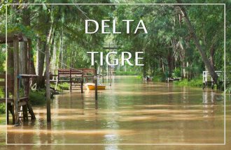 Tigre-Delta3