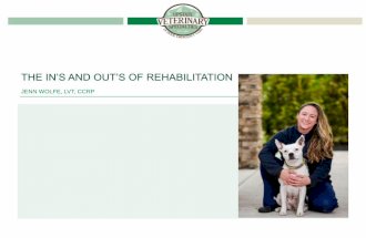 The Ins and Outs of Rehabilitation