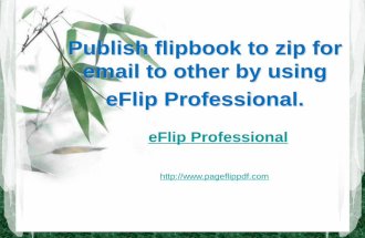 Publish flipbook as zip to email to other by using eFlip professional