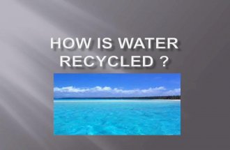 How is water recycled1