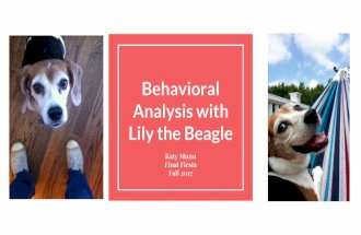 Behavior Analysis with Lily the Beagle