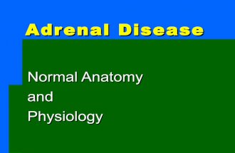 12. Endocrine: adrenal