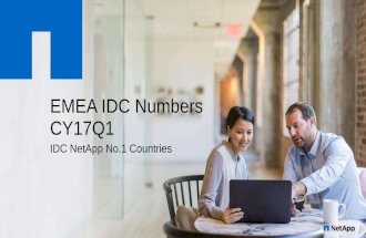 EMEA IDC Numbers CY17Q1 NetApp